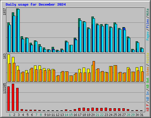 Daily usage for December 2024