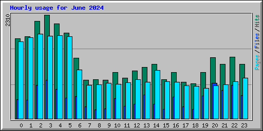 Hourly usage for June 2024