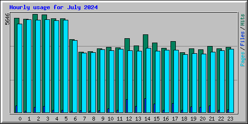 Hourly usage for July 2024