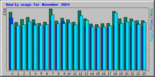 Hourly usage for November 2024