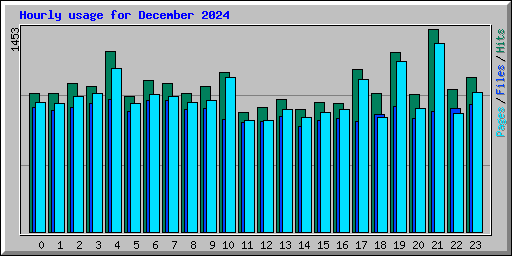 Hourly usage for December 2024