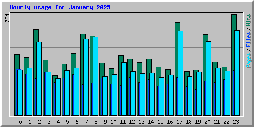 Hourly usage for January 2025