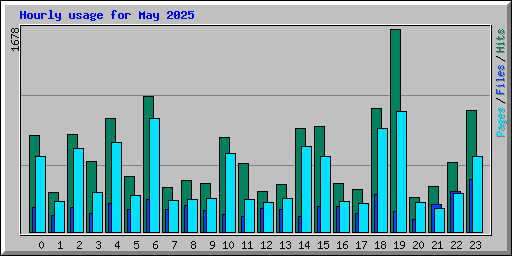 Hourly usage for May 2025