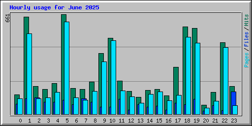 Hourly usage for June 2025