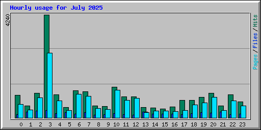 Hourly usage for July 2025