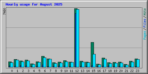 Hourly usage for August 2025