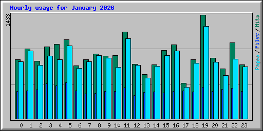 Hourly usage for January 2026