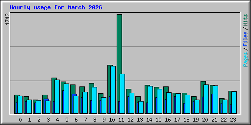 Hourly usage for March 2026