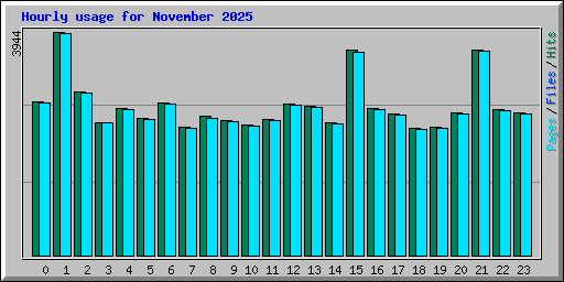 Hourly usage for November 2025