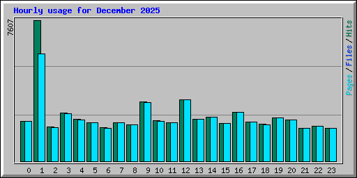 Hourly usage for December 2025