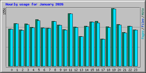 Hourly usage for January 2026