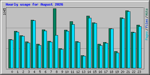 Hourly usage for August 2026